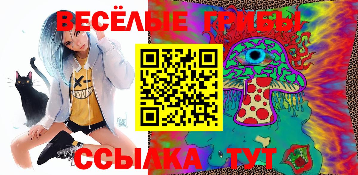 Галлюциногенные грибы мухоморы Торжок