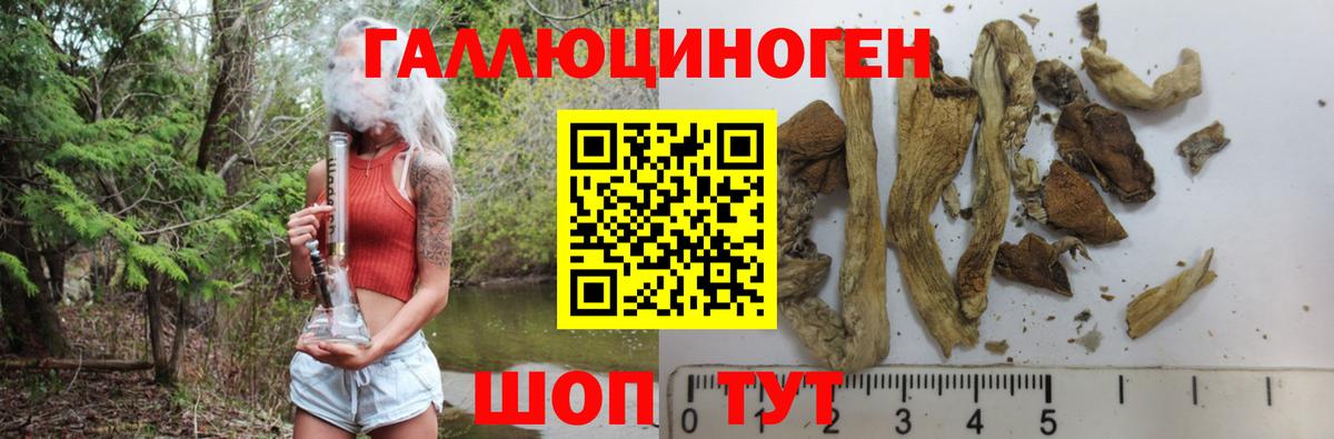 Торжок  Галлюциногенные грибы ЛСД  Вход с VPN 